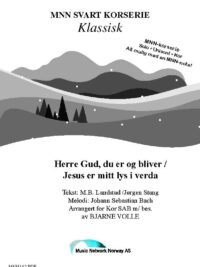 HERRE GUD DU ER OG BLIVER - SAB